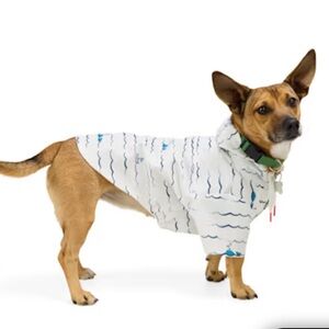 Started As A Bottle Wave Dog Raincoat